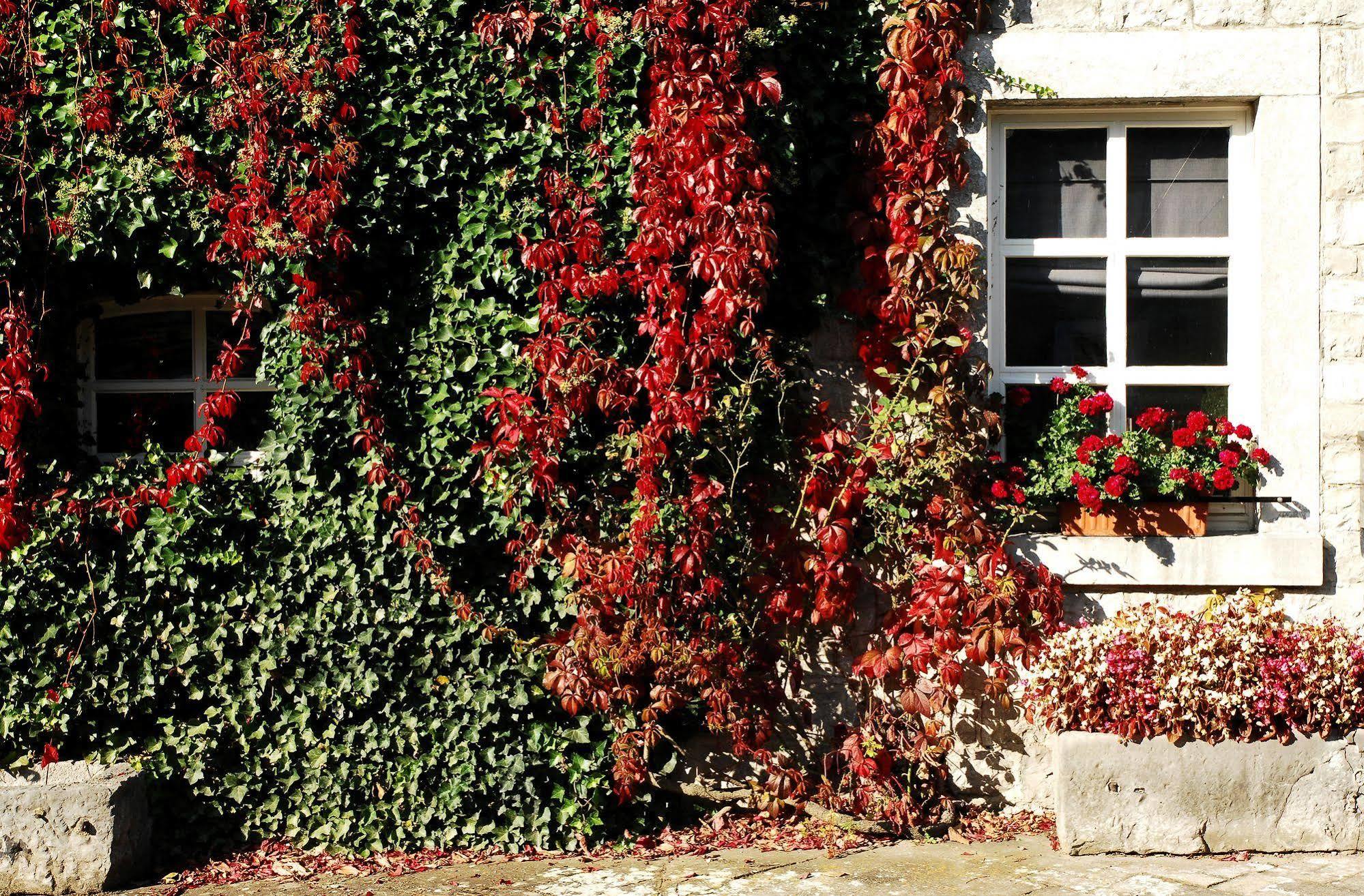 B&B La Buissonniere Xhoris Exterior photo